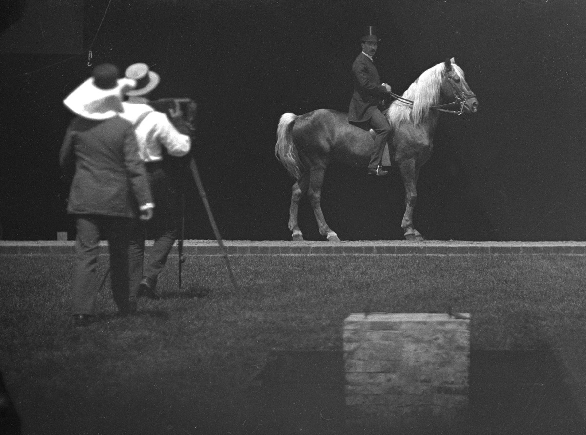 Cheval au repos monté par cavalier. Chronophotographie sur plaque fixe / Etienne-Jules Marey, Albert Londe