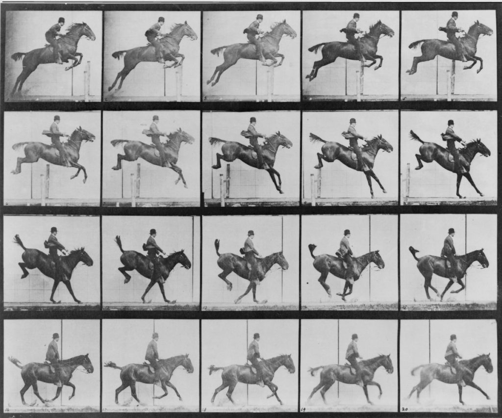 E Muybridge- Animal Locomotion - Twenty consecutive images of man riding a horse- coll Congres Library