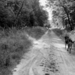 vonne-Calsou-Sur-la-voie-vers-Cournioue-video-2024-03